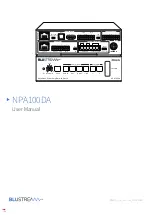 BluStream NPA100DA User Manual предпросмотр