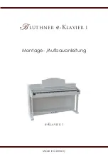 Предварительный просмотр 1 страницы bluthner e-KLAVIER 1 Assembly Instructions Manual