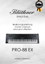 bluthner PRO-88 EX Owner'S Manual предпросмотр