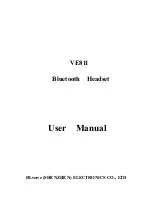 Предварительный просмотр 1 страницы BLwave VE811 User Manual