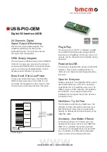 bmcm USB-PIO-OEM Manual preview