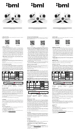 BML Safe View User Manual preview