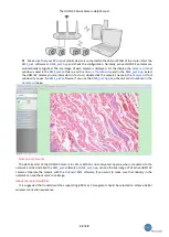 Предварительный просмотр 14 страницы BMS 76604K8MPA Manual