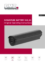 BMZ Downtube Battery V10 Original Operating Instructions предпросмотр