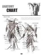 Preview for 41 page of Body Solid GDCC250.1 Owner'S Manual