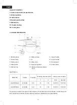 Предварительный просмотр 2 страницы BOJ LIGHTNING-4L User Manual