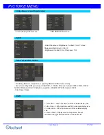 Preview for 16 page of Boland BVB07 User Manual