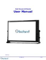 Boland PVB17 User Manual предпросмотр