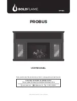 Bold Flame PROBUS SP5528 User Manual preview
