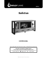 Bold Flame Salictus User Manual предпросмотр