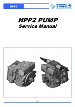 Bondioli & Pavesi HPP2 Service Manual предпросмотр