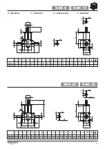 Предварительный просмотр 21 страницы BONFIGLIOLI RAN 15 Manual