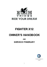 BOOM TRIKES FIGHTER X12 Owner'S Handbook Manual предпросмотр