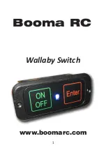 Booma-RC Wallaby Switch Manual предпросмотр