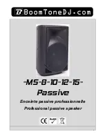 BoomToneDJ M5 User Manual preview