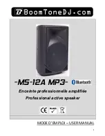 BoomToneDJ MS-12A MP3 User Manual preview