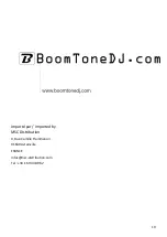 Preview for 19 page of BoomToneDJ TRAVELER 300 User Manual