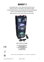 Boost BOOST-STUPDJ10 Instruction Manual предпросмотр