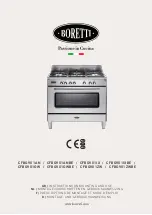 Предварительный просмотр 1 страницы BORETTI CFBG901 Series Instruction On Mounting And Use Manual