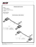 Предварительный просмотр 2 страницы BORLA 11840 Installation