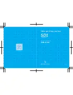 Borofone SD1 User Manual preview