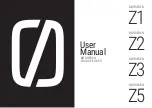 Предварительный просмотр 1 страницы BORRESEN Z1 User Manual