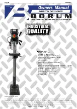 Borum CH18FT Owner'S Manual preview