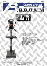 Preview for 1 page of Borum CH30T Owner'S Manual