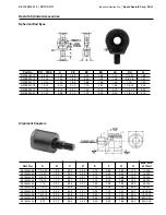 Предварительный просмотр 29 страницы Bosch Rexroth CDT1 Series Manual