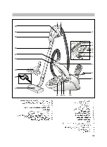 Preview for 137 page of Bosch BSG82090 Instructions For Use Manual