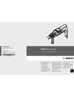 Bosch GBH Professional 2-24 DS Manual preview