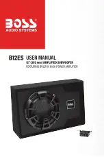 Preview for 1 page of Boss Audio Systems B12ES User Manual