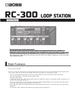 Boss Audio Systems Boss Loop Station RC-300 Owner'S Manual preview