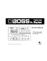 Preview for 1 page of Boss Dr. Rhytm DR-110 Owner'S Manual