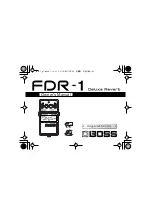 Boss FDR-1 Owner'S Manual предпросмотр