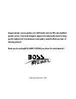 Preview for 3 page of Boss Rebel MC300 User Manual