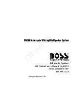 Preview for 9 page of Boss Rebel MC300 User Manual