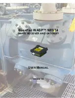 BossPac WASP NEST4 User Manual preview
