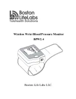 Boston Life Labs BPW2.4 User Manual предпросмотр