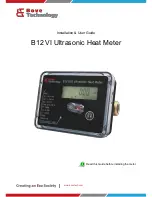 Bove Technology B12 VI Installation & User Manual preview