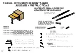 BOX15 T-ABLE 411/78.1900.22 Assembly Instructions Manual preview