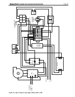 Предварительный просмотр 51 страницы Bradford White Brute MagnaTech BMGH1600 Installation And Operation Instructions Manual