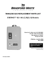 Bradford White Everhot IGI-180 Parts List предпросмотр