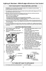 Предварительный просмотр 17 страницы Bradford White FVIR Defender Safety System RG240T6N394264475 Installation/Operation Instruction Manual