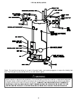 Предварительный просмотр 24 страницы Bradford White POWERED DIRECT VENT SERIES GAS-FIRED COMMERCIAL WATER HEATER Installation & Operation Manual