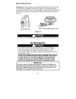 Предварительный просмотр 29 страницы Bradford White RG1PV50S6X19-264 Manual