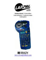 Brady LABPAL Instructions Manual предпросмотр