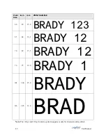 Предварительный просмотр 48 страницы Brady LABXPERT User Manual