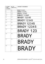 Предварительный просмотр 118 страницы Brady TLS2200 User Manual