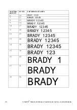 Предварительный просмотр 451 страницы Brady TLS2200 User Manual